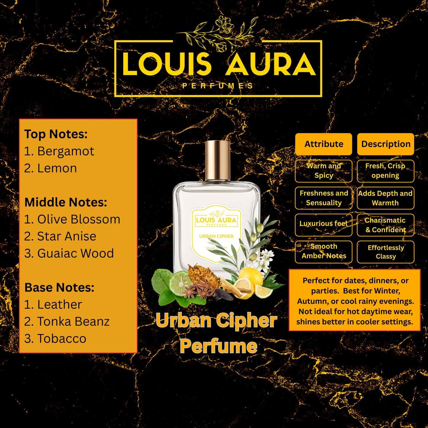 Louis Aura – Urban Cipher, Perfume for Men – 50ml